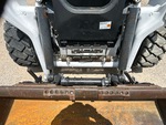 General Appearance with Steps/Ladders
