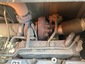 Engine with Exhaust System