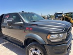 General Appearance with Paint