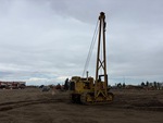 General Appearance with Spin