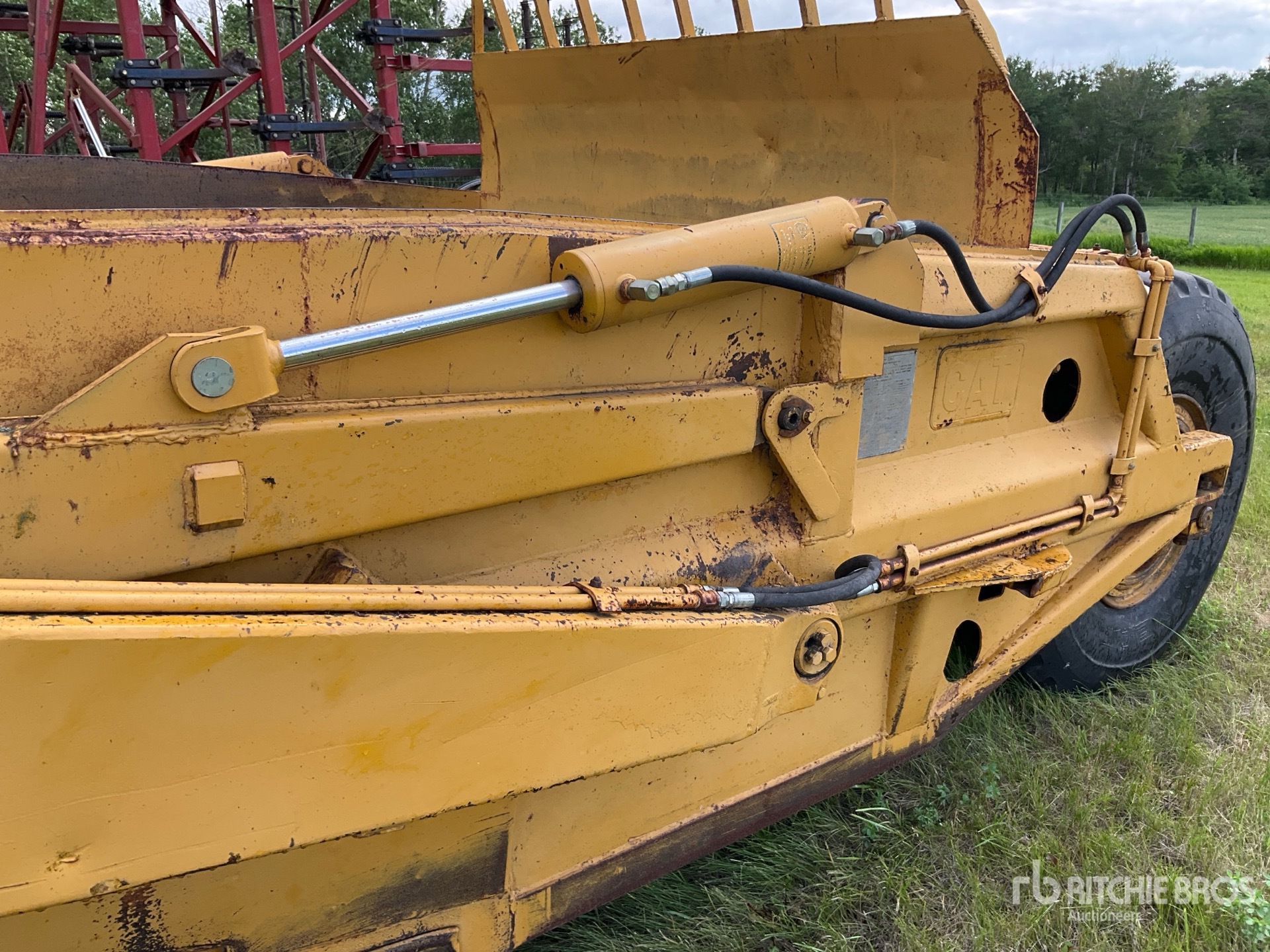 Caterpillar 60