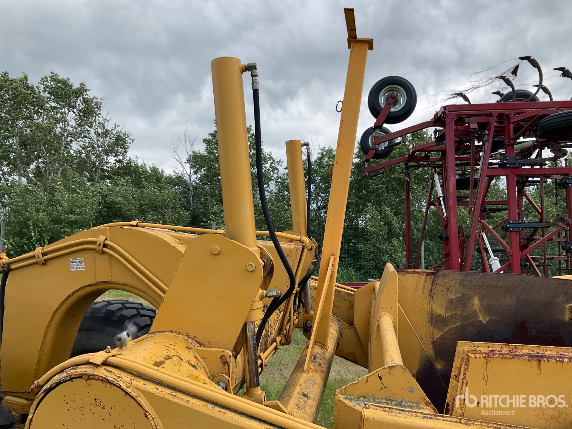 Caterpillar 60