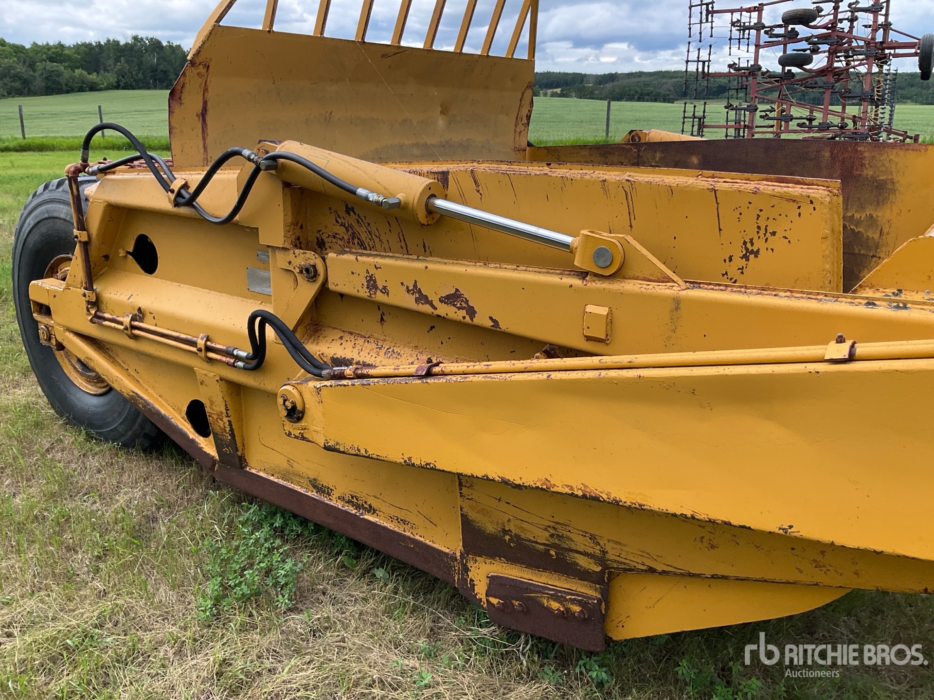 Caterpillar 60