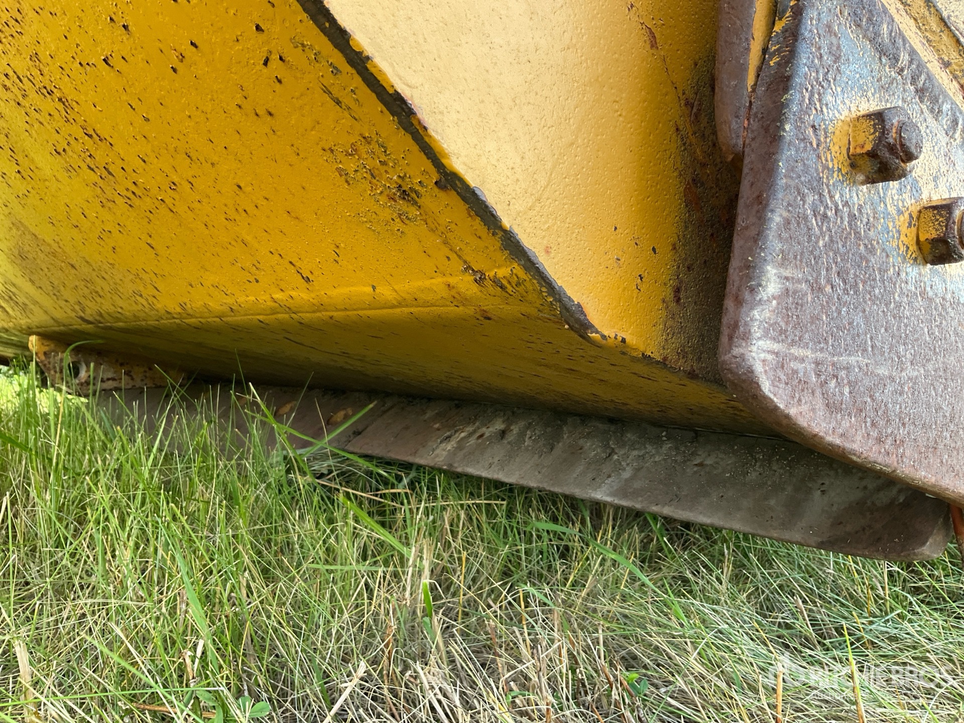Caterpillar 60