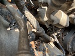 Engine with Exhaust System