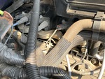 Engine with Fuel System