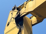 Chassis with Perni e boccole braccio-asta