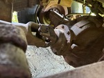 Drivetrain with