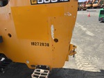 General Appearance with Paint