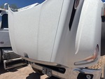 General Appearance with Paint