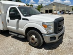 General Appearance with Paint