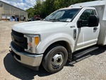 General Appearance with Paint
