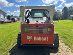 General Appearance with Paint