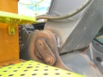 v2 Chassis - Excavator with