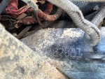 Aspect général with Photo du numéro de série/NIV du timbre du cadre