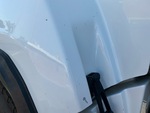 General Appearance with Paint