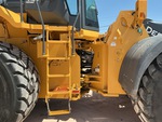 General Appearance with Paint