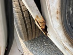 Underbody with