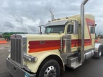 General Appearance with Paint