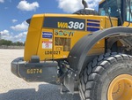 General Appearance with Paint