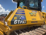 General Appearance with Paint