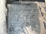 Engine with Emission Label