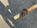 Trailer Chassis with Lights/Wiring Condition