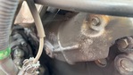 Engine with Exhaust System