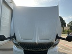General Appearance with Pintura