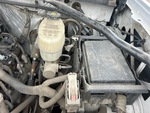Motore with