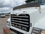 General Appearance with Paint