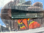 General Appearance with Frame Stamp Serial Number/VIN Photo