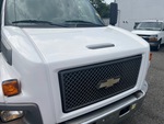 General Appearance with Paint