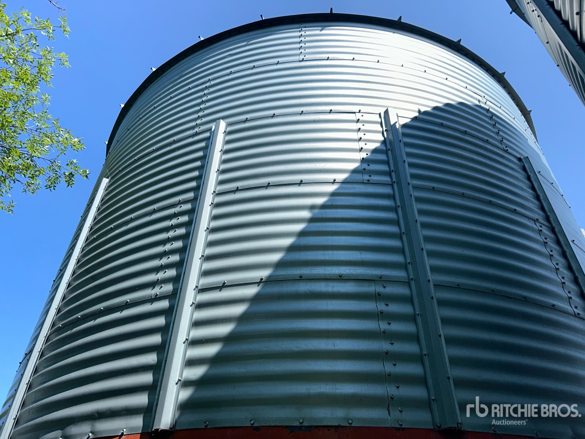 Chief +/- 5500 bu 5 Ring
