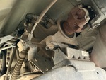 Underbody with Transmission