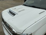 General Appearance with Paint