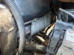 Engine with Exhaust System