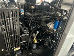 Engine with Fuel Leaks