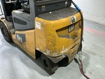 General Appearance with Paint