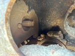 Undercarriage with Left Track Tensioner