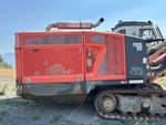 General Appearance with Paint