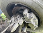 Brakes with