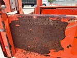 General Appearance with Paint