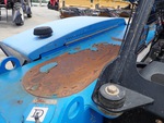 General Appearance with Pintura