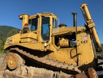 General Appearance with Paint