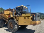 General Appearance with Paint