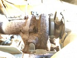 Engine with Exhaust System