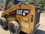 General Appearance with Paint