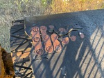 Conveyor/Rollers with