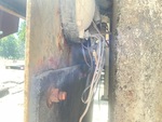 Carrier with Lights/Wiring Condition